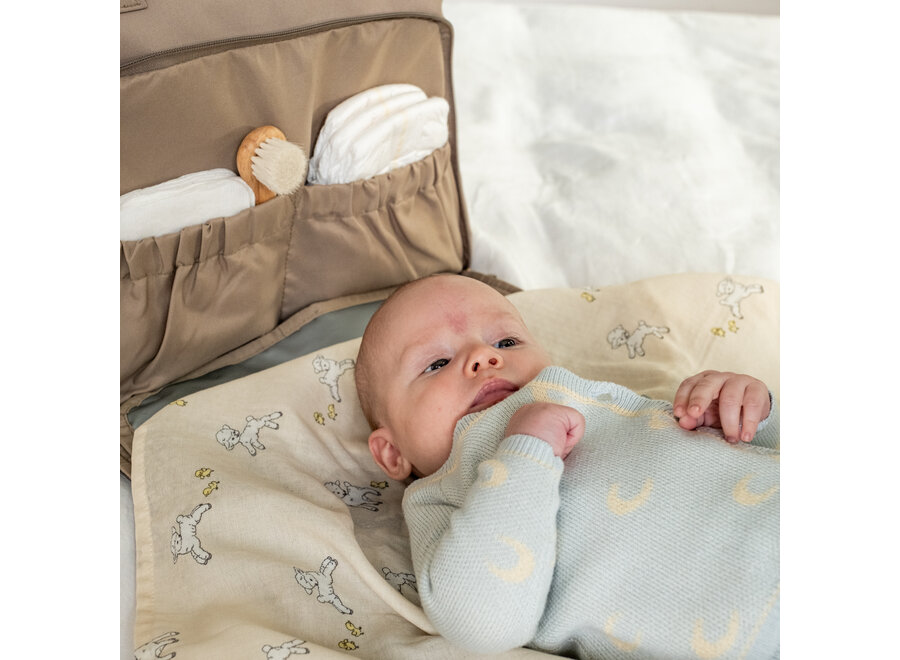 TM Bora Swaddles 3p Tiny friends