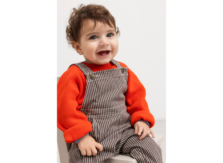MM Ruben Tuinbroek Brown Stripe