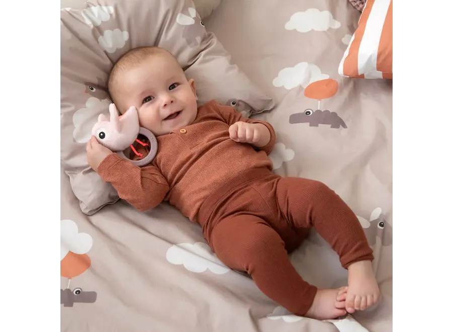 Sensory rattle w/teether Birdee Powder