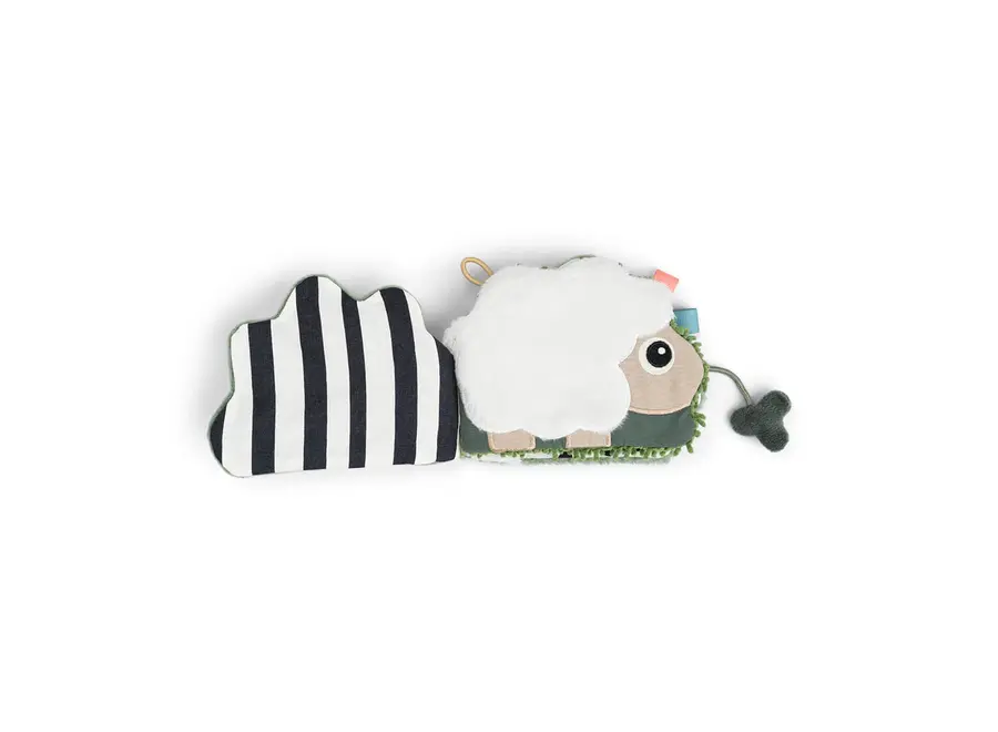 Sensory baby book Tiny farm Colour mix