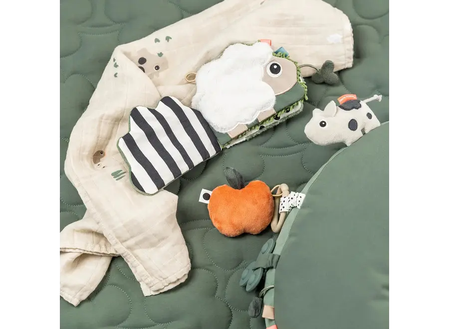 Sensory baby book Tiny farm Colour mix