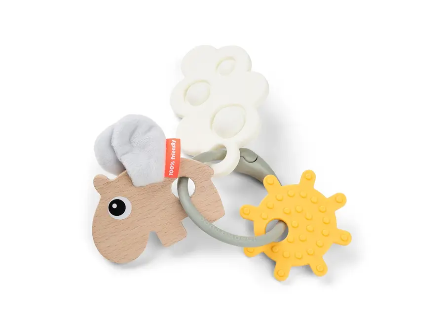 Sensory activity ring Happy clouds Col