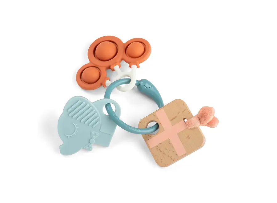 Sensory activity ring Celebration Colo