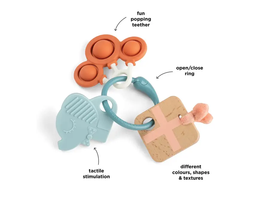 Sensory activity ring Celebration Colo