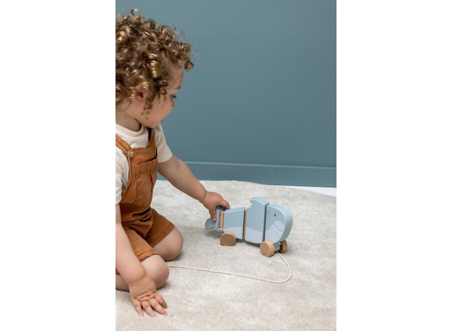 Trixie Wooden wiggle pull along toy - Mr. Shark