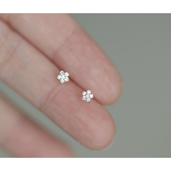 Bloem / Ster Strass Oorbellen - Zilverkleurig