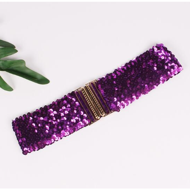 Sparkle Taille Riem - Paars | 65 - 95 cm | Elastische Glitter Riem
