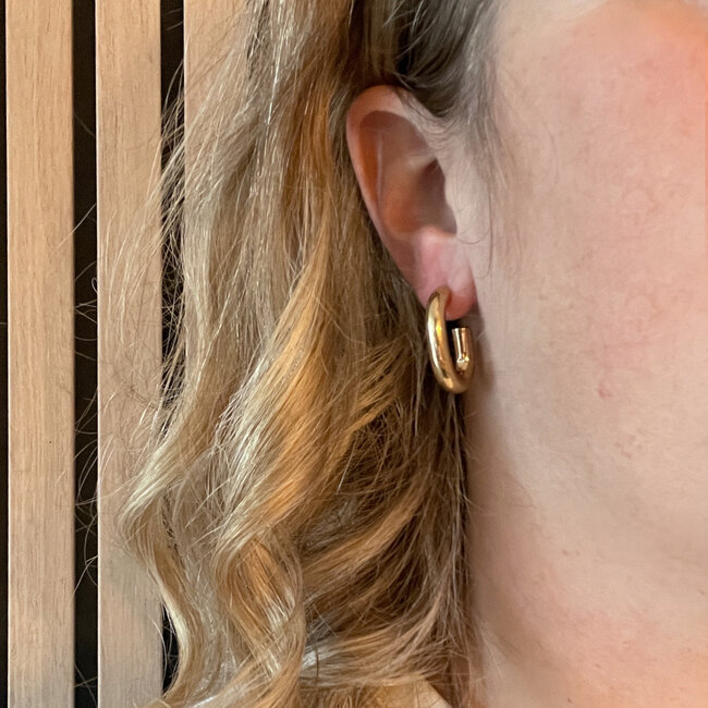 Oorbellen Rectangle Hoop - Goudkleurig | 2,7 x 1,8 cm | RVS