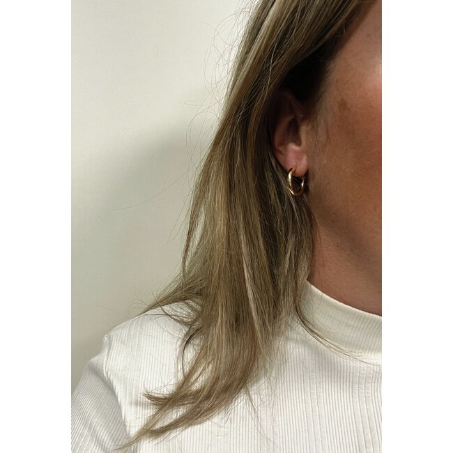Chunky Hoops Oorringen - Goudkleurig | 20 mm | Stainless Steel