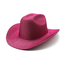 Fashion Favorite Cowboy Hoed - Metallic Roze