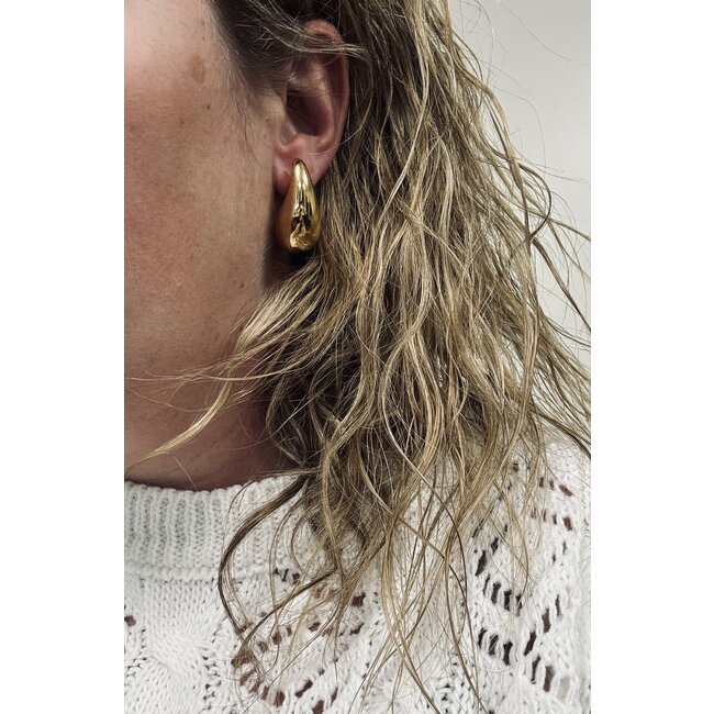 Druppel Oorbellen - Goudkleurig | 3,1 x 1,7 cm | Stainless Steel / Goldplated