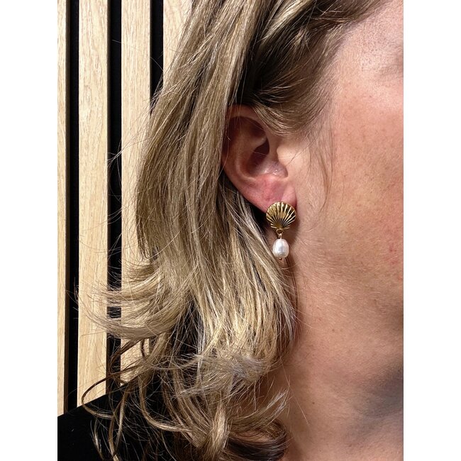 Ibiza Oorbellen - Shell #4 | Schelp Oorhangers | Stainless Steel