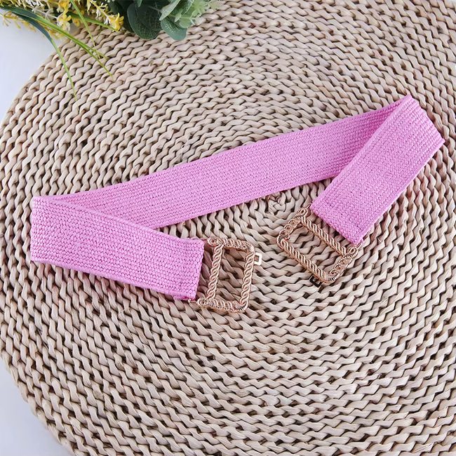 Elastische Riem - Roze | Stretch / Kunststof