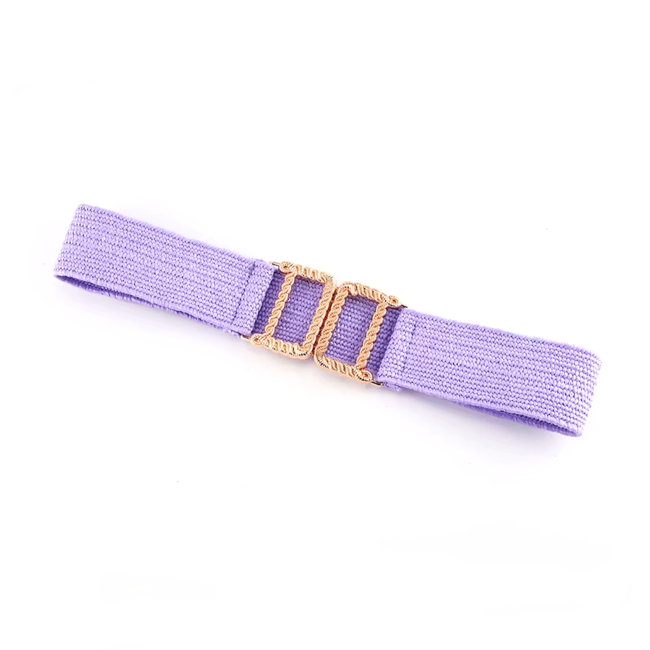 Elastische Riem - Paars | Stretch / Kunststof