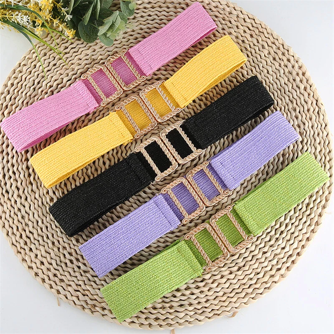 Elastische Riem - Roze | Stretch / Kunststof