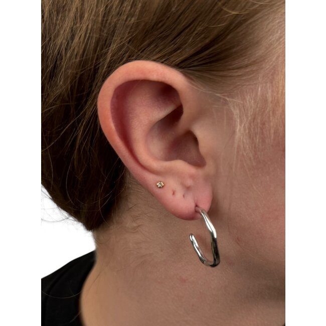 Oorringen - Swirl Zilverkleurig | 25 x 25 mm | Stainless Steel
