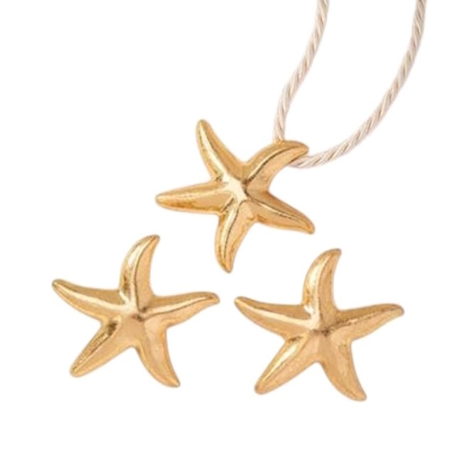 Starfish Set | Ketting + Oorbellen | Goudkleurig