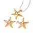 Starfish Set | Ketting + Oorbellen | Goudkleurig