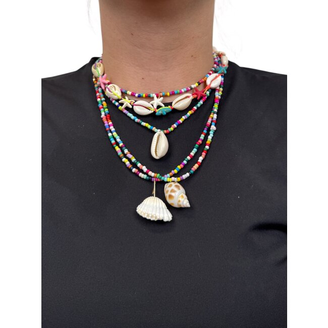 Summer Shell Ketting 5-delige Set - Multicolor