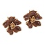 Fashion Favorite Flower Bloem Oorbellen - Bruin
