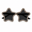 Festival Bril Ster - Glitter Zwart | Fashion Favorite