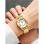 Luna Gold Horloge | Goudkleurig | Elastische band