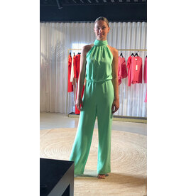 JUST EVE JUMPSUIT JEANNE PISTACHE