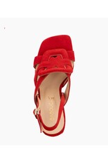 Babouche BENTE SANDALET ROOD