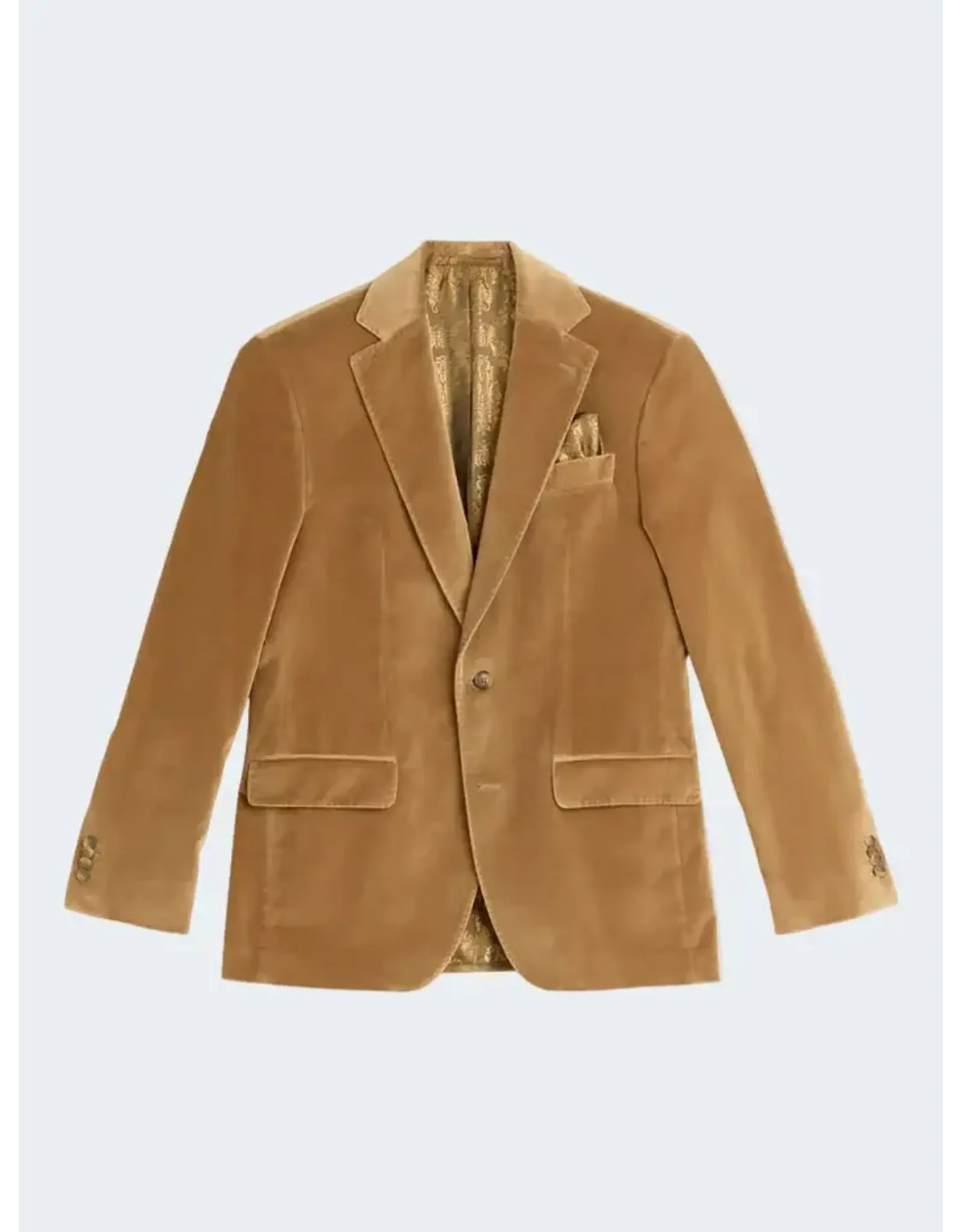 SAND BLAZER VELVET STAR NAPOLI 240