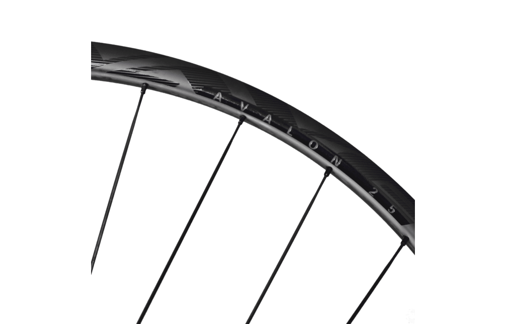 9th Wave AVALON 25 Carbon disc Wielset