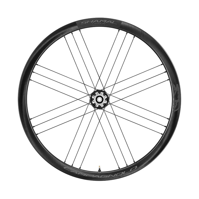 Campagnolo Shamal Carbon Scheibenbremse
