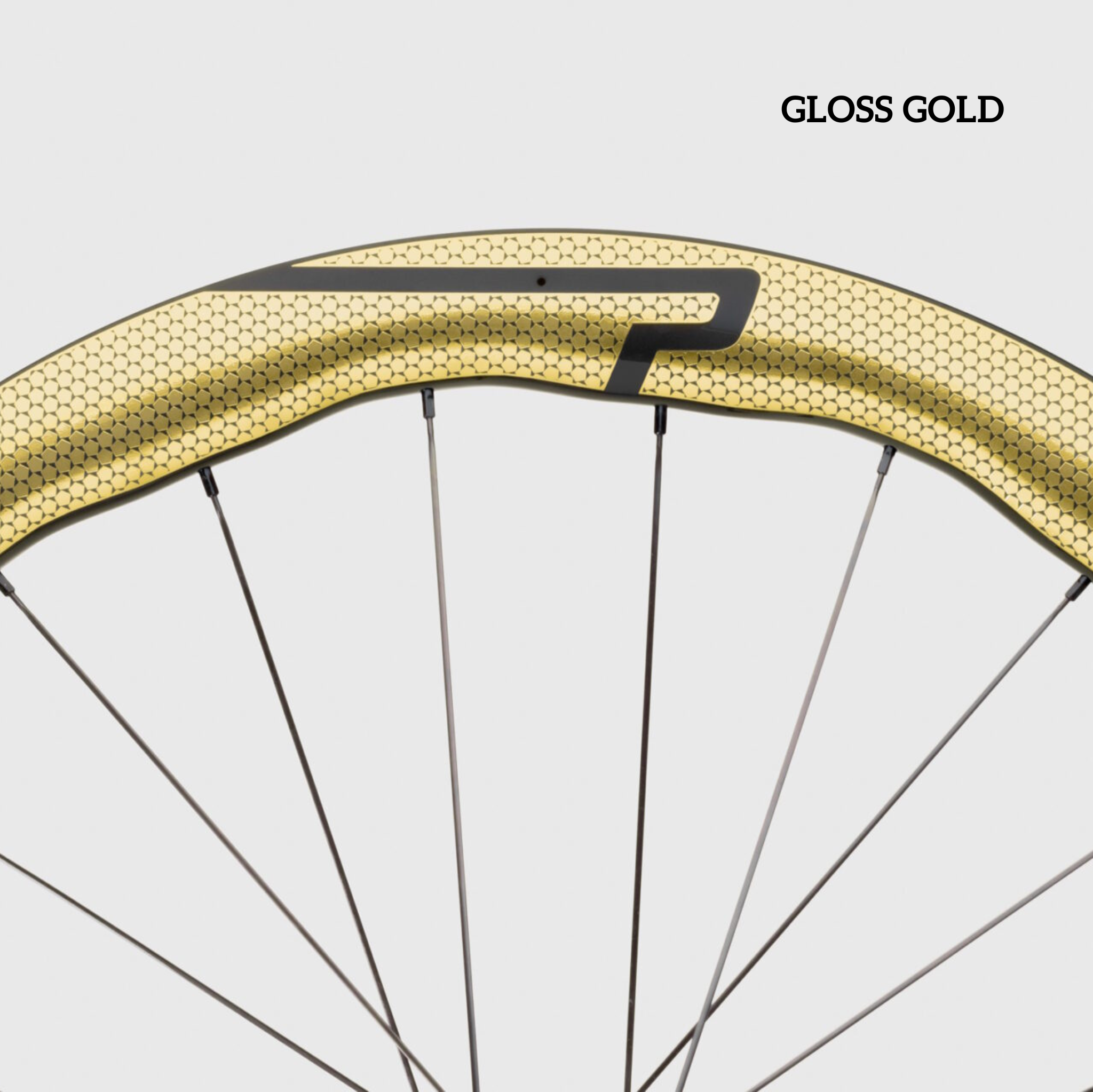 Princeton PEAK 4550 Evolution