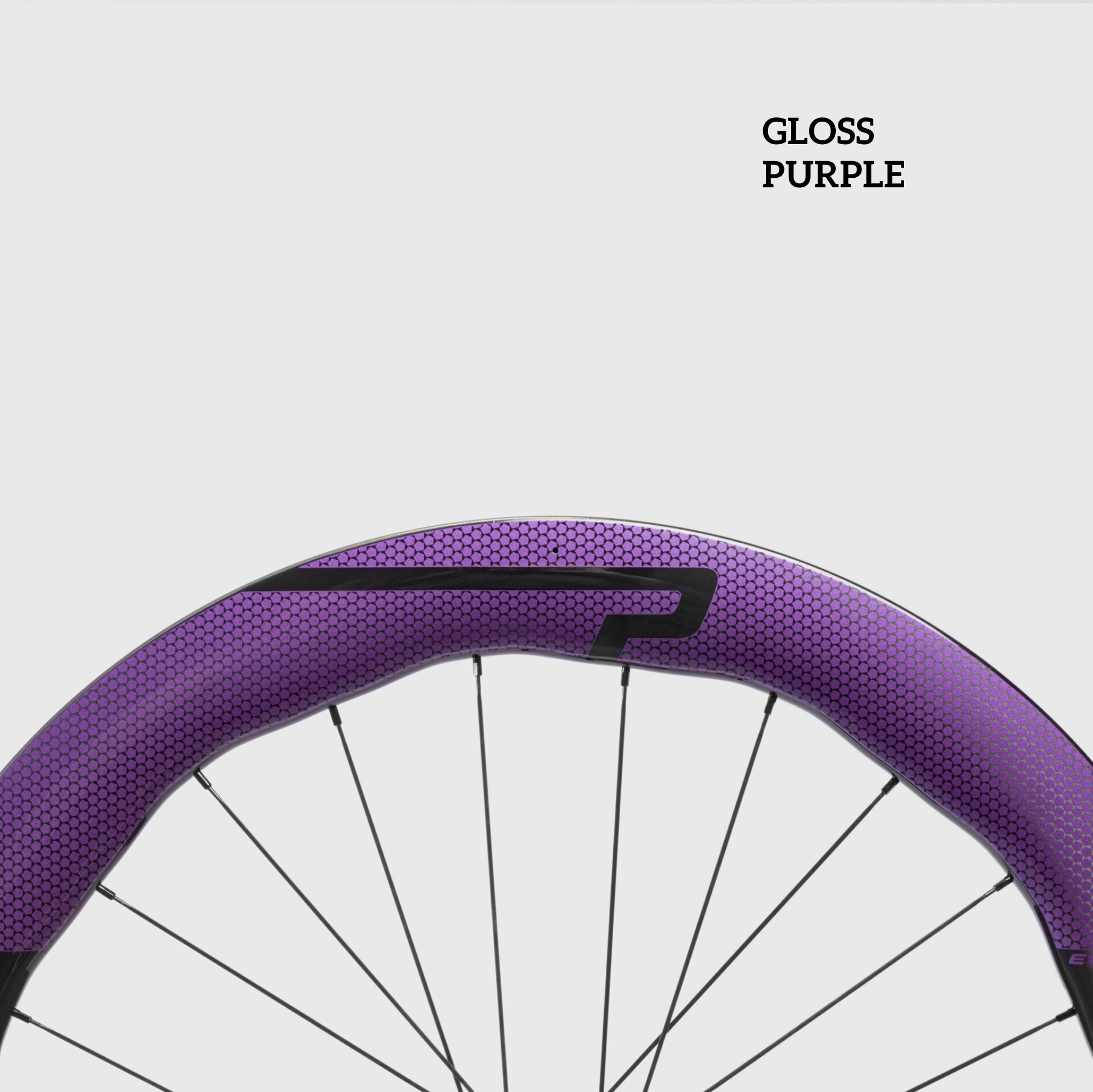 Princeton WAKE 6560 Evolution