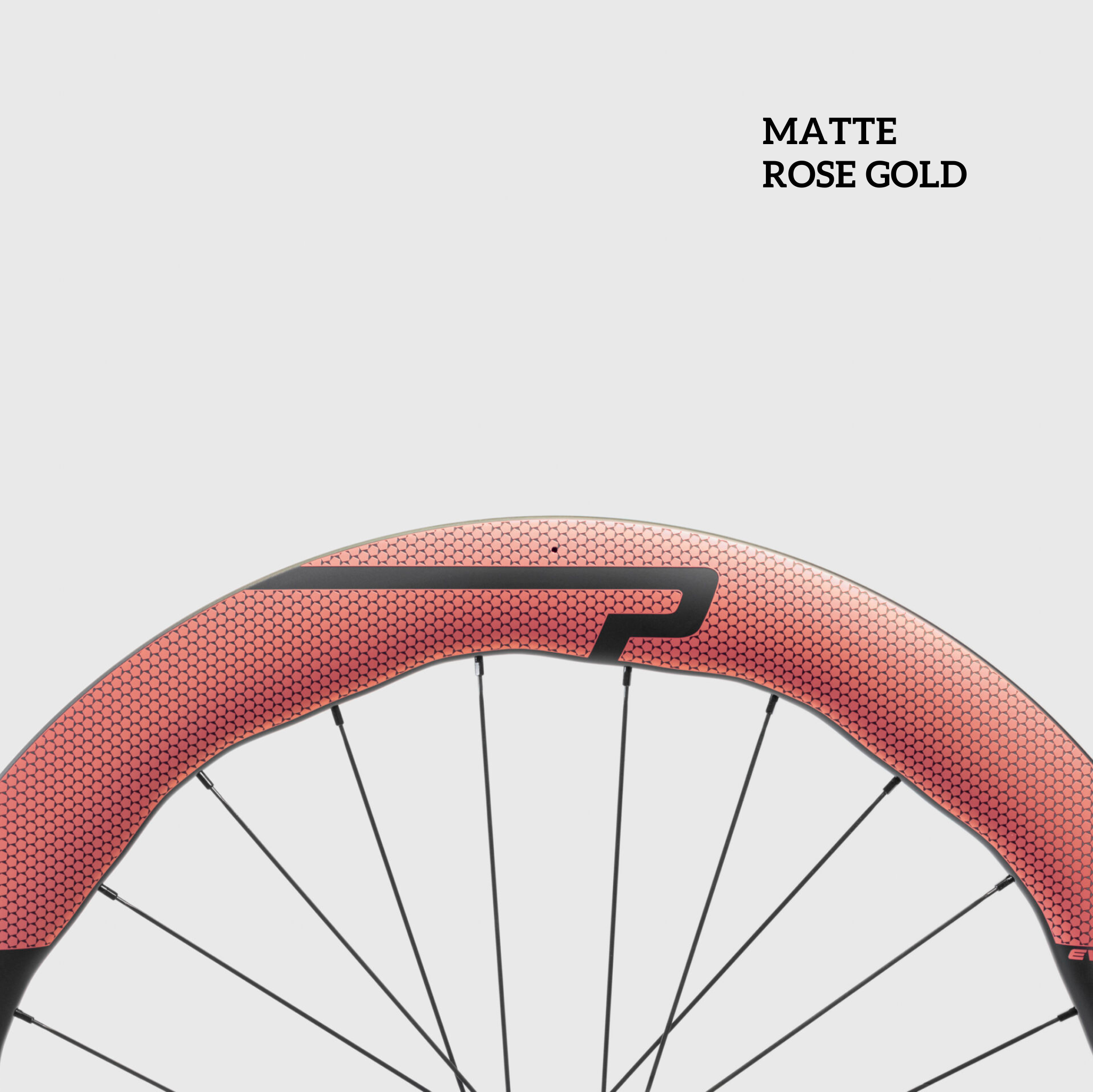 Princeton WAKE 6560 Evolution