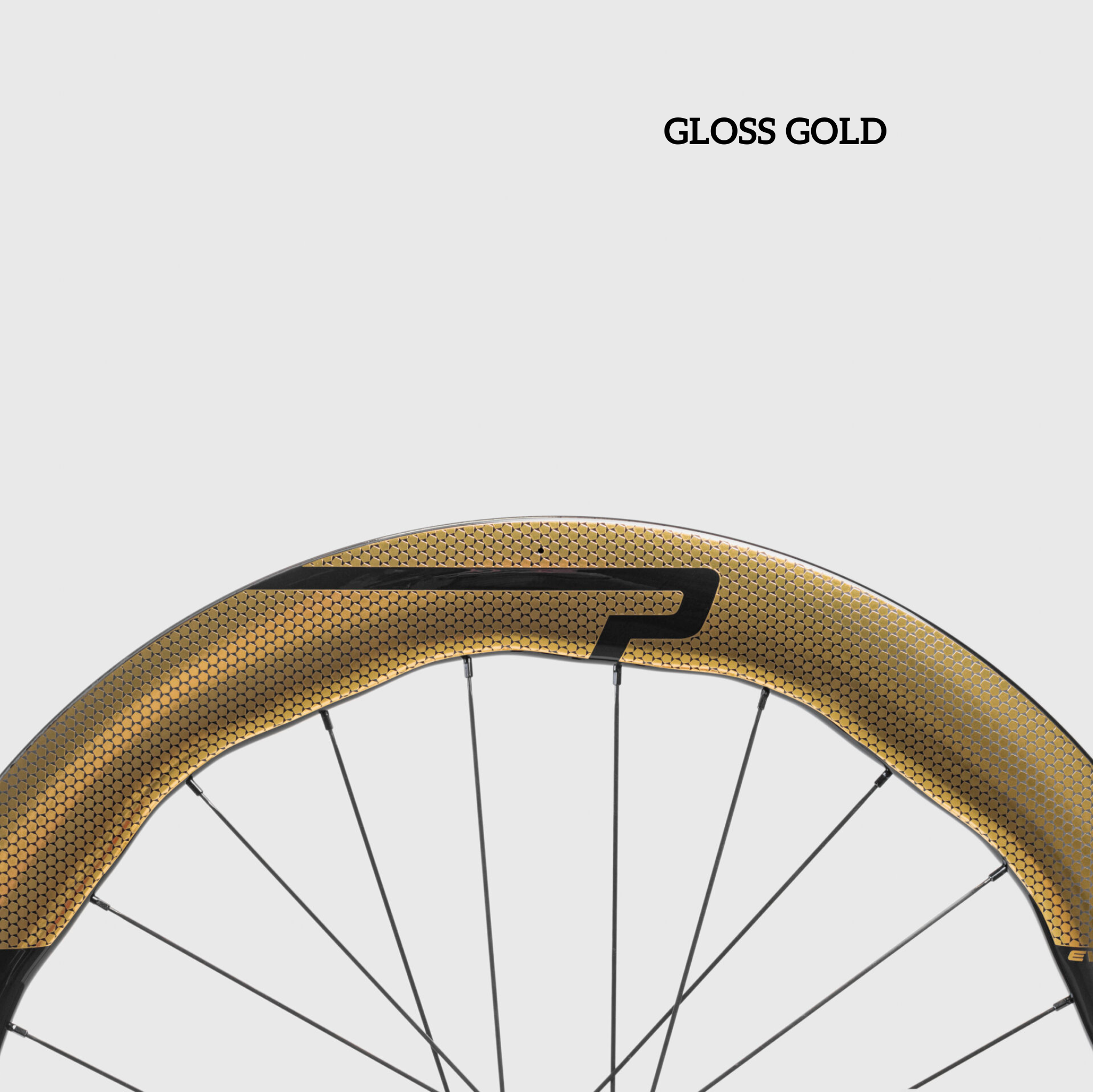 Princeton WAKE 6560 Evolution