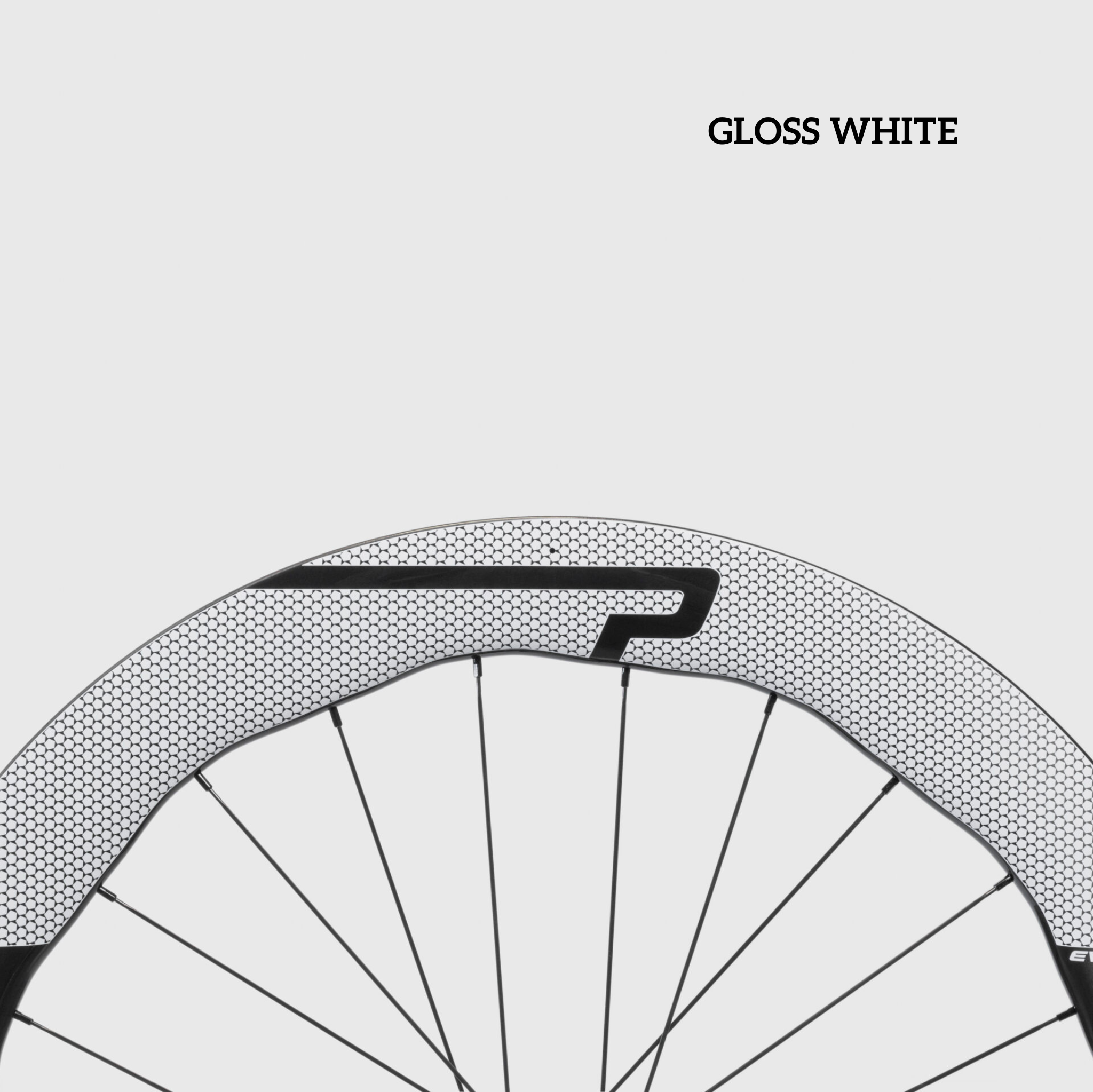 Princeton WAKE 6560 Evolution