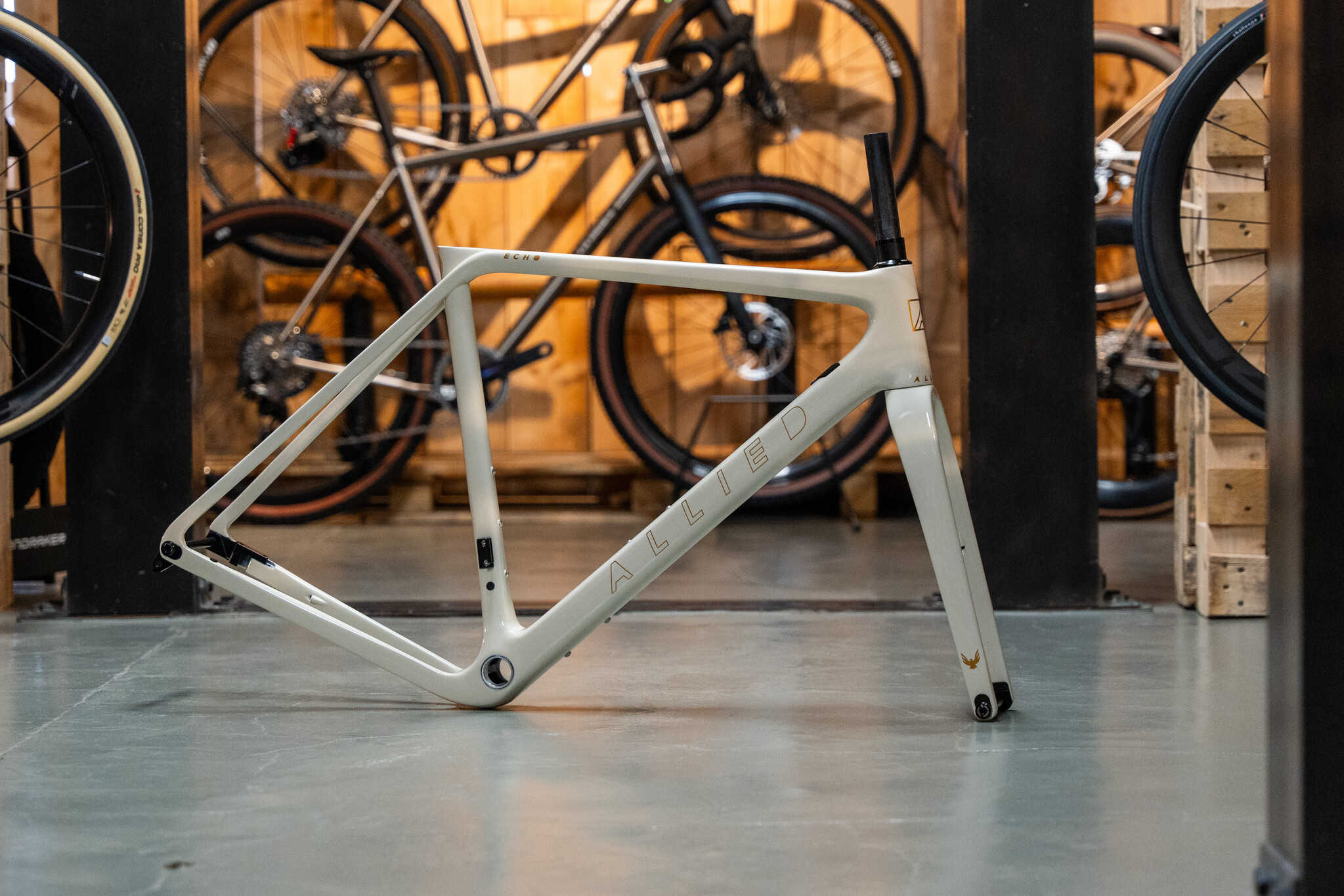 Allied Echo Rahmenset