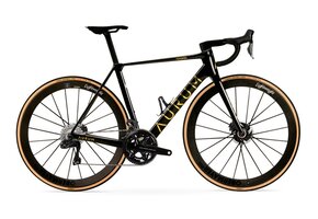 Aurum Magma Complete Bike