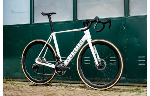 Aurum Magma Complete Bike