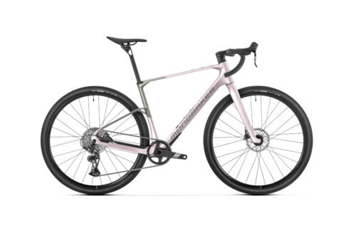 Mondraker Arid Carbon S