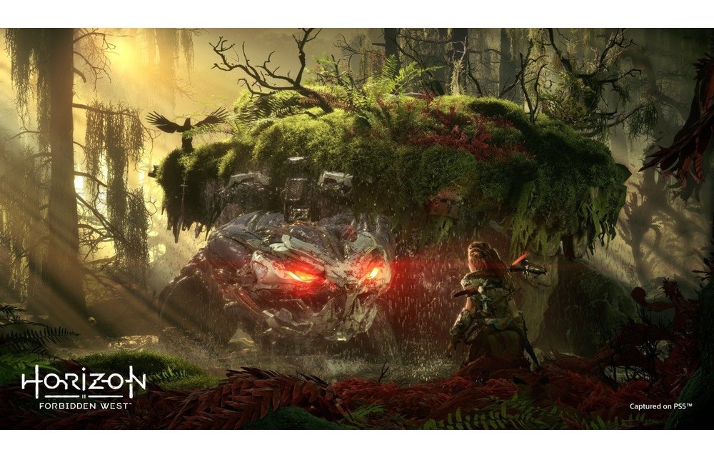 PS5 Horizon II - Forbidden West Kopen