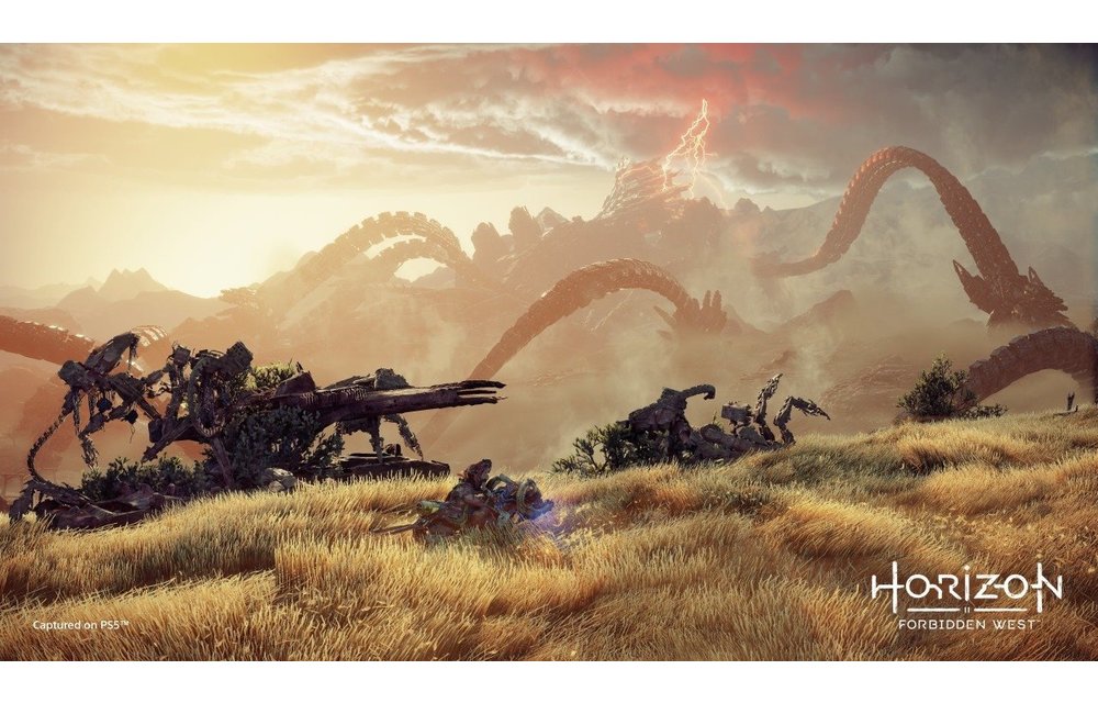PS5 Horizon II - Forbidden West Kopen