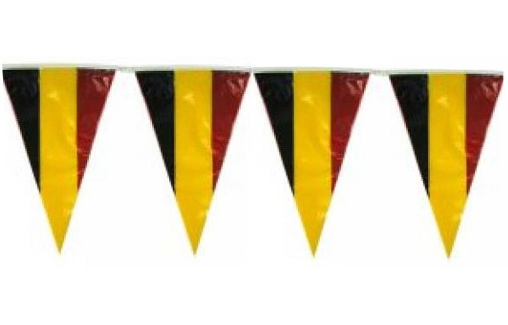 Puntvlaggen "Vlaggenlijn" België 10 meter.