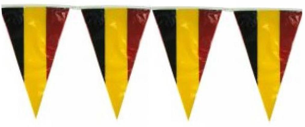 Puntvlaggen "Vlaggenlijn" België 10 meter.