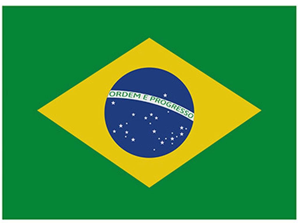 Vlag Brazilië  90 x 150 cm