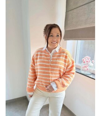 Cardigan Stripe