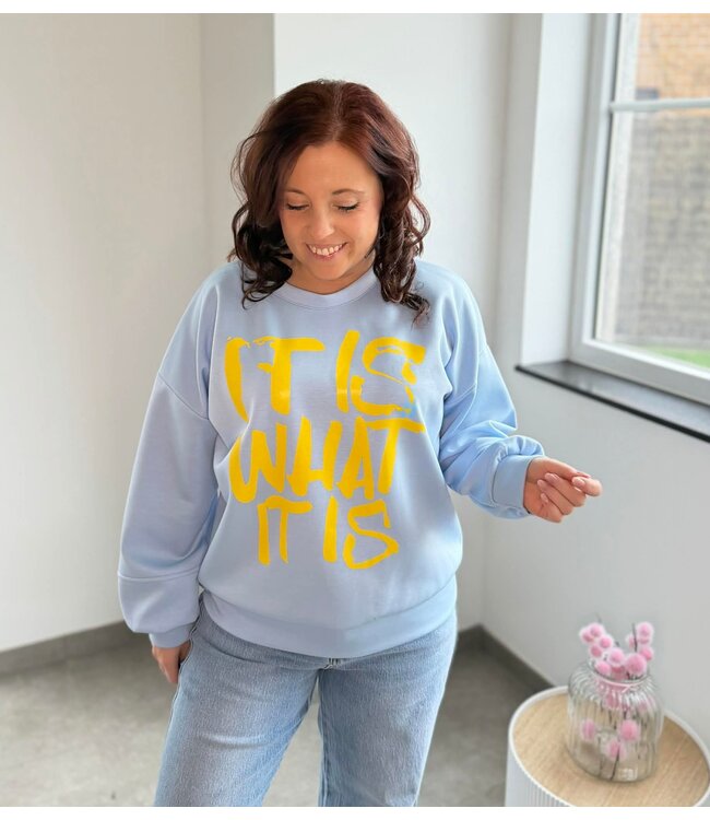 Sweater It is what it is