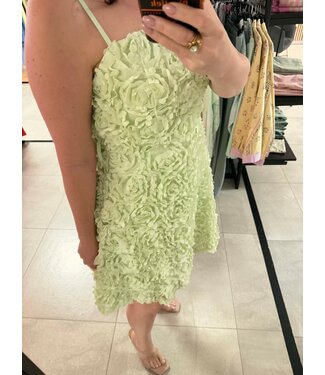 Dress Rosette