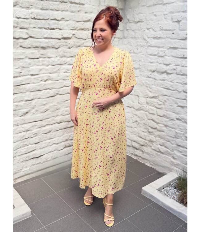Ichi Ichi Vera Dress
