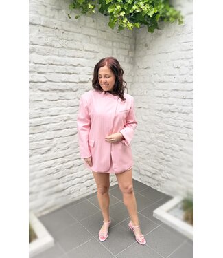 Blazer Pink Stripe